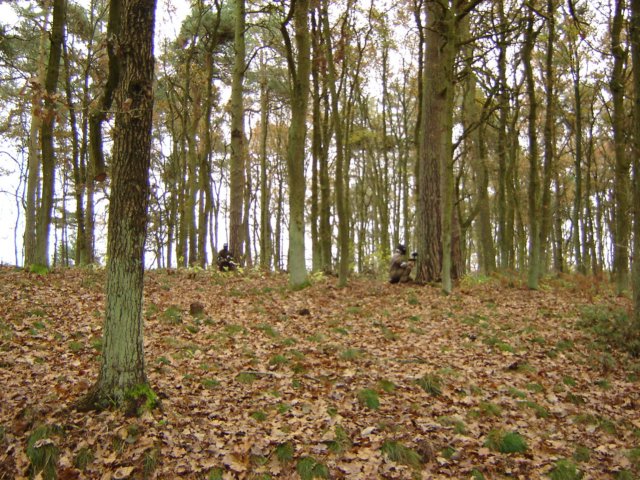 dsc09831.jpg