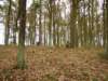 dsc09831_small.jpg