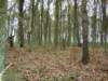dsc09833_small.jpg