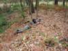dsc09836_small.jpg