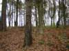 dsc09847_small.jpg