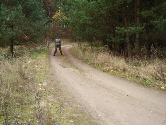 dsc09851.jpg